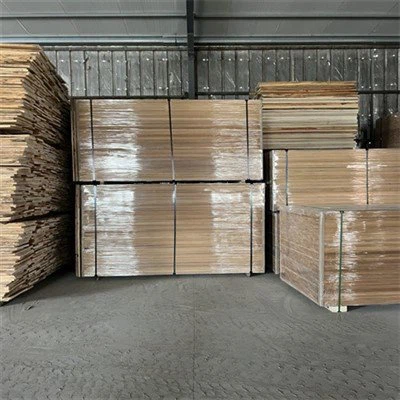 Ąžuolų skydelis baldams